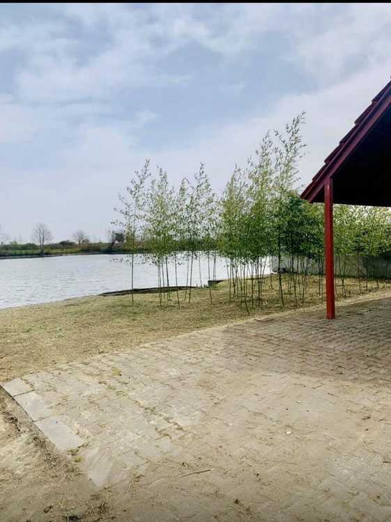 Land plot in Poti — Find off-plan property or real estate resale directly from developers and owners GEOLN.COM. Photo 1