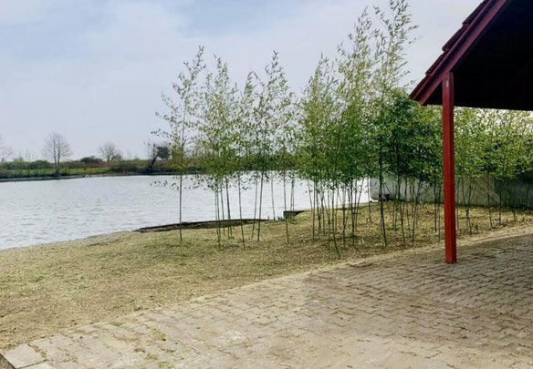 Земельна ділянка в Поті