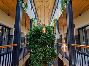 مساحات مكاتب فاخرة في وسط المدينة، MB، سلوفينيا — ابحث عن عقار قيد الإنشاء أو عقار معاد بيعه مباشرة من المطورين والملاك GEOLN.COM. صورة فوتوغرافية 16