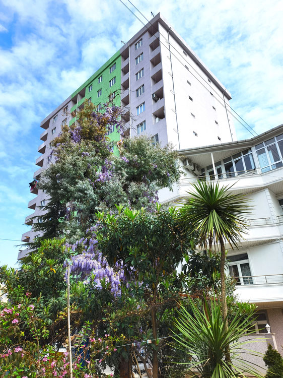 2室公寓在巴图米 — 来自开发商和业主的房地产搜索引擎 GEOLN.COM. 照片 1