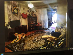 迪纳摩体育场附近的公寓 — 来自开发商和业主的房地产搜索引擎 GEOLN.COM. 照片 4