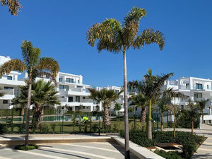 公寓 2 卧室 146 m² 在 El Paraiso, 西班牙 — 来自开发商和业主的房地产搜索引擎 GEOLN.COM. 照片 16