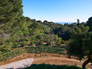 别墅 3 间卧室 374 平方米，位于西班牙埃斯特波纳 — 来自开发商和业主的房地产搜索引擎 GEOLN.COM. 照片 35