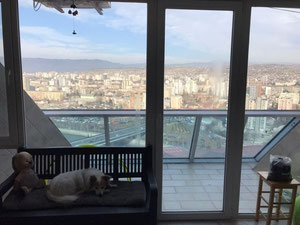 2 Zimmer Wohnung zu verkaufen — Immobilien-Suchservice von Bauträgern und Eigentümern GEOLN.COM. Foto 6