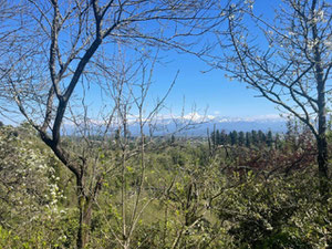 古里亚地块 — 来自开发商和业主的房地产搜索引擎 GEOLN.COM. 照片 3