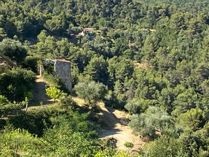 მონაკოს სიახლოვეს, დიდი მიწა — უძრავი ქონების ყიდვა და მფლო ბელებისგან GEOLN.COM. ფოტო 5