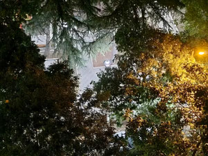 Чеський проект — Пошуковик нерухомості від забудовників і власників GEOLN.COM. Фото 16