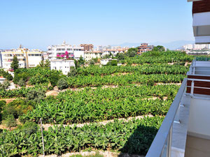 公寓 1 卧室 54 平方米，位于土耳其阿拉尼亚 — 来自开发商和业主的房地产搜索引擎 GEOLN.COM. 照片 36