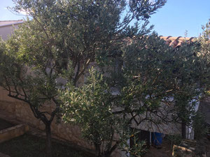 შესანიშნავი სახლი ზღვის პირველ ხაზში — უძრავი ქონების ყიდვა და მფლო ბელებისგან GEOLN.COM. ფოტო 27