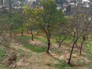 Gonio 海景房 — 来自开发商和业主的房地产搜索引擎 GEOLN.COM. 照片 3