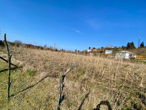 Земельна ділянка в Бобокваті — Пошуковик нерухомості від забудовників і власників GEOLN.COM. Фото 2