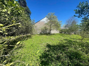 古里亚地块 — 来自开发商和业主的房地产搜索引擎 GEOLN.COM. 照片 6