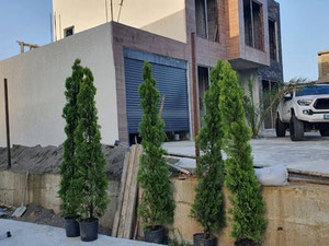 位于 Akhalsopeli 的房子，享有山脉的美丽景色。白色框架 — 来自开发商和业主的房地产搜索引擎 GEOLN.COM. 照片 6