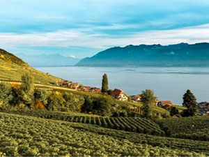 在埃维昂莱班的精品酒店 — 来自开发商和业主的房地产搜索引擎 GEOLN.COM. 照片 2