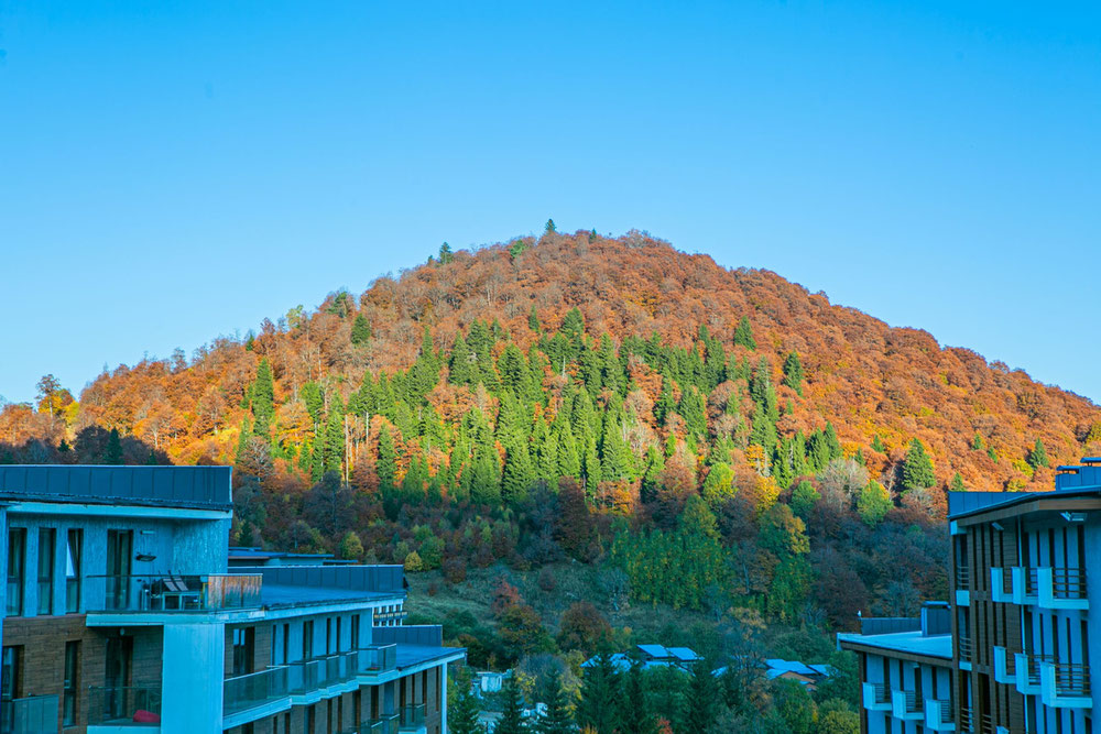 Studio on the sunny side — Find off-plan property or real estate resale directly from developers and owners GEOLN.COM. Photo 1