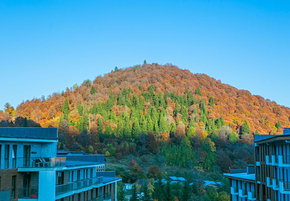 Studio on the sunny side