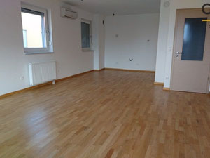 采列斯洛文尼亚郊区的公寓 — 来自开发商和业主的房地产搜索引擎 GEOLN.COM. 照片 5