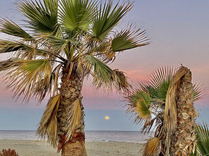 别墅 6 间卧室 372 m² 在 Flamingo, 西班牙 — 来自开发商和业主的房地产搜索引擎 GEOLN.COM. 照片 39