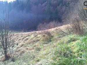 Village house in Slovenia, Zgornja Kungota — Find off-plan property or real estate resale directly from developers and owners GEOLN.COM. Photo 5