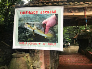 山间餐厅。提克纳斯 — 来自开发商和业主的房地产搜索引擎 GEOLN.COM. 照片 2