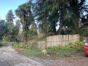 Ділянка — Пошуковик нерухомості від забудовників і власників GEOLN.COM. Фото 4