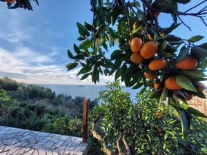 签名 Bagrationi 别墅出售 180度海景 2000M2 在 马欣贾乌里 — 来自开发商和业主的房地产搜索引擎 GEOLN.COM. 照片 13