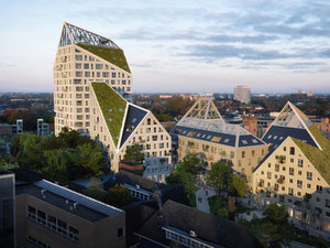 Недвижимость в NIEUW BERGEN — смотрите на поисковике недвижимости GEOLN.COM. Фото 9