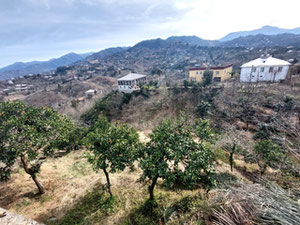 出售带土地的私人住宅 — 来自开发商和业主的房地产搜索引擎 GEOLN.COM. 照片 23