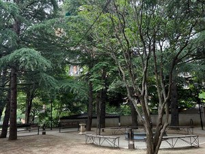 2 חדרים בסבורתאלו — חיפוש נדל"ן מפרטי ומקבלן GEOLN.COM. תמונה 8