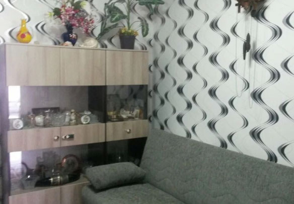 Квартира с пристройкой