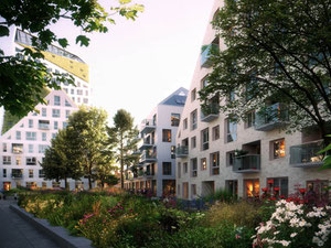 Недвижимость в NIEUW BERGEN — смотрите на поисковике недвижимости GEOLN.COM. Фото 4