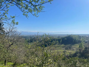 古里亚地块 — 来自开发商和业主的房地产搜索引擎 GEOLN.COM. 照片 8