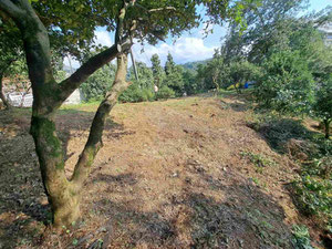 Plot in Makhinjauri with sunset view — Find off-plan property or real estate resale directly from developers and owners GEOLN.COM. Photo 7