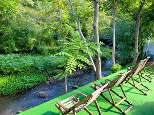 精品酒店“River Boutique”位于巴图米 — 来自开发商和业主的房地产搜索引擎 GEOLN.COM. 照片 5