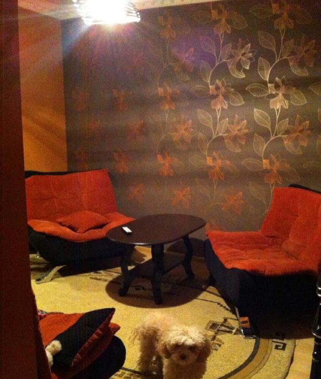 Samgori'de 2 yatak odalı daire. Tiflis, Samgori'de bir daire satın al — Sahiplerden yada inşaatcilardan mülkiyet arama GEOLN.COM. Fotoğraf 1