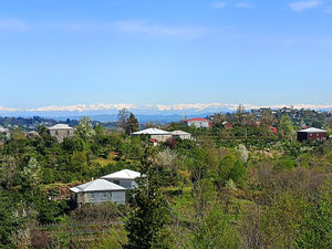 Villas in Chakvi with a pool — Find off-plan property or real estate resale directly from developers and owners GEOLN.COM. Photo 10