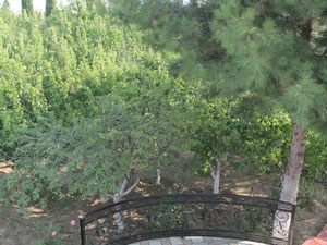 Malikane — Пошуковик нерухомості від забудовників і власників GEOLN.COM. Фото 13