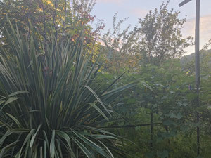 出售巴图米附近的土地 — 来自开发商和业主的房地产搜索引擎 GEOLN.COM. 照片 3