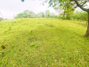 Земельна ділянка в Квирикі — Пошуковик нерухомості від забудовників і власників GEOLN.COM. Фото 3