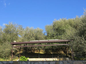 וילה ליד הים באיטליה, בורדיגה — חיפוש נדל"ן מפרטי ומקבלן GEOLN.COM. תמונה 11