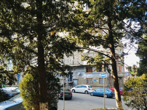 Vake的5间房间。第比利斯无中介公寓 — 来自开发商和业主的房地产搜索引擎 GEOLN.COM. 照片 3