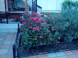 Malikane — Пошуковик нерухомості від забудовників і власників GEOLN.COM. Фото 16