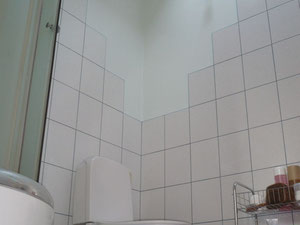 სახლი გარეუბანში ლატვიაში, გერკალნეს რეგიონში, მაკსტენიეკი — უძრავი ქონების ყიდვა და მფლო ბელებისგან GEOLN.COM. ფოტო 9