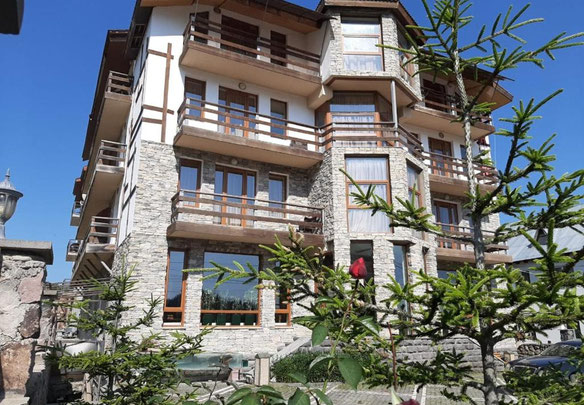 Інвестиційна можливість: Процвітаючий готель на 42 номери на продаж у Бакуріані