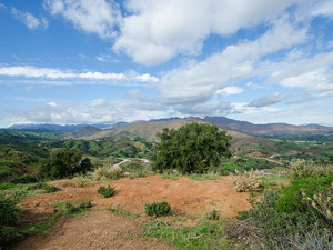 别墅 3 间卧室 370 m² 在 La Cala Golf, 西班牙 — 来自开发商和业主的房地产搜索引擎 GEOLN.COM. 照片 8