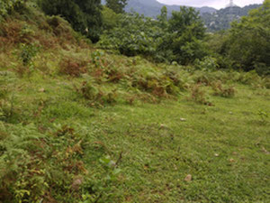 在 Khelvachauri 出售的土地 — 来自开发商和业主的房地产搜索引擎 GEOLN.COM. 照片 8