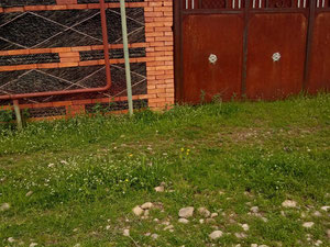 Kakheti Sighnaghi'deki ev — Sahiplerden yada inşaatcilardan mülkiyet arama GEOLN.COM. Fotoğraf 38