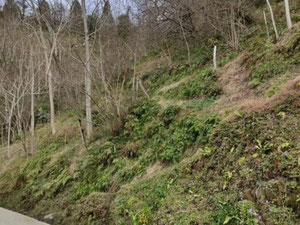 Земля на продажу в Самеба — Поисковик недвижимости от застройщиков и собственников GEOLN.COM. Фото 3