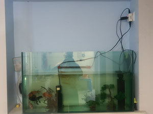 Продається будинок — Пошуковик нерухомості від забудовників і власників GEOLN.COM. Фото 20