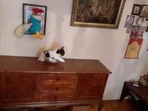 Varketili 3间卧室的公寓。第比利斯无中介公寓 — 来自开发商和业主的房地产搜索引擎 GEOLN.COM. 照片 7